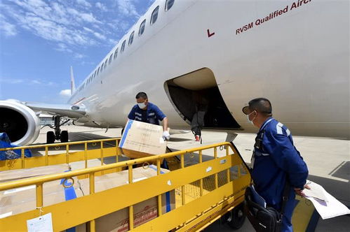 出口需求回暖 天河機(jī)場(chǎng)復(fù)航后首開(kāi)國(guó)際定期貨運(yùn)航線